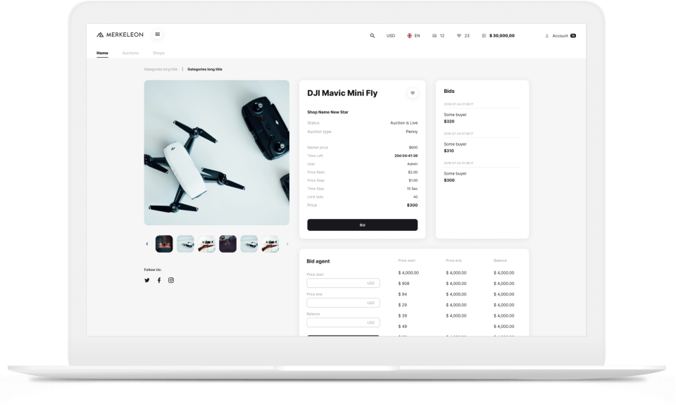 screenshot of Merkeleon Internet Auction Software